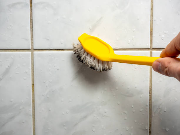 Best Emergency Mold Removal  in Warroad, MN