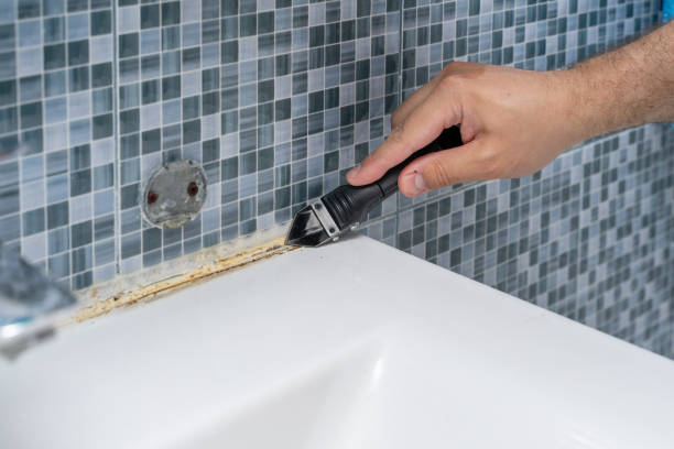 Best Mold Testing  in Warroad, MN